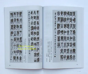 הקליגרפיה הסינית הספר החותם את התסריט Zhuan שו שו פא מברשת הדיו אמנות 88pages 19*26cm